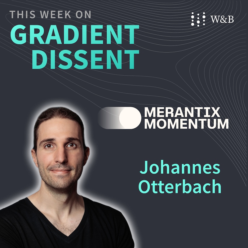 Artwork for podcast Gradient Dissent: Conversations on AI