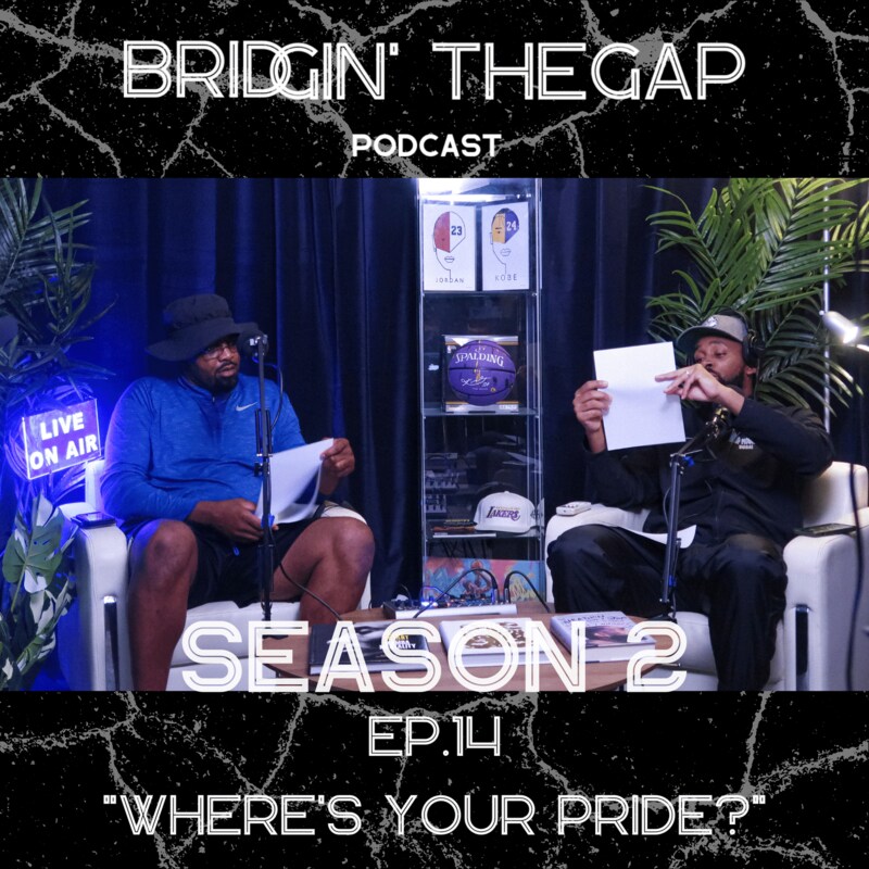 Artwork for podcast Bridgin' The Gap
