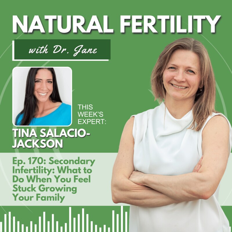 Artwork for podcast Natural Fertility with Dr. Jane