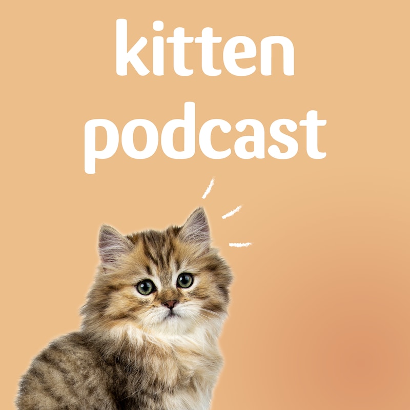 Artwork for podcast Pets at Home Kitten Podcast
