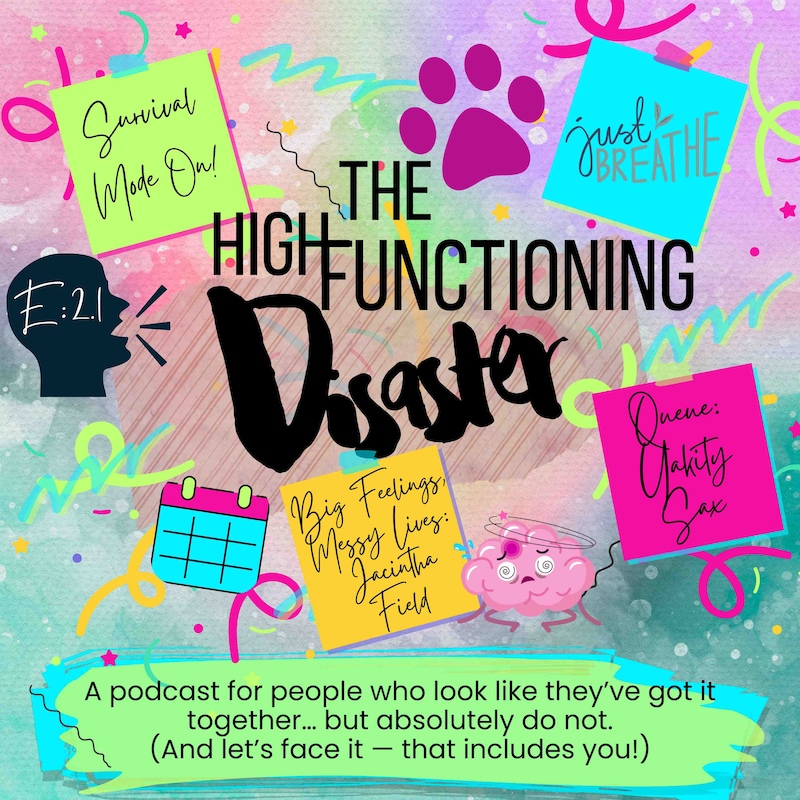 Artwork for podcast The High-Functioning Disaster