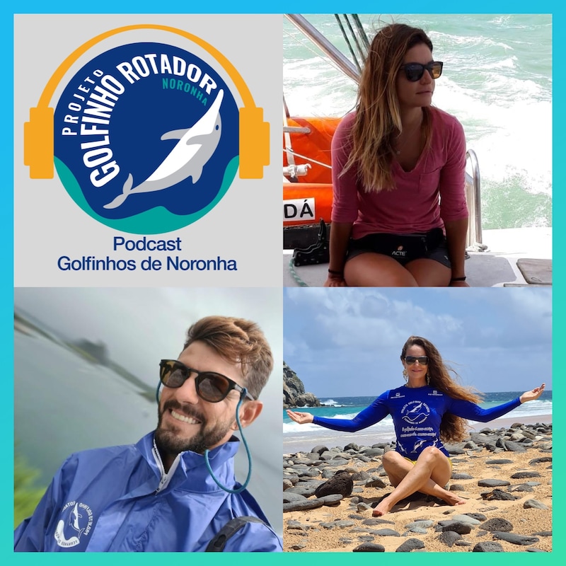 Artwork for podcast Golfinhos de Noronha