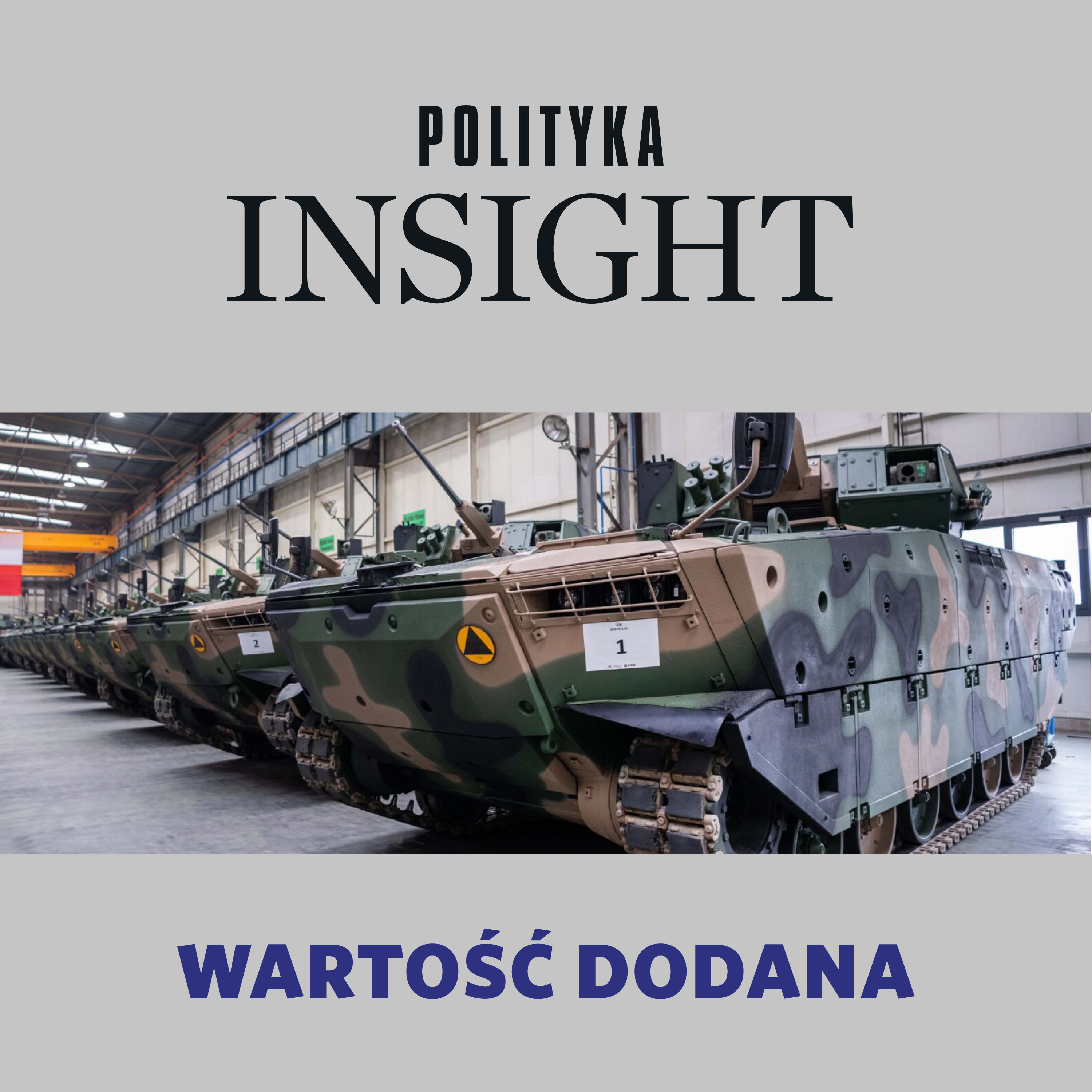 Ile Polski w SAFE | Wartość dodana