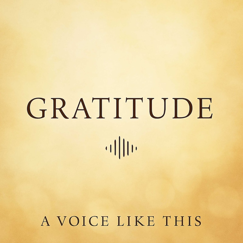 Artwork for podcast A Voice Like This
