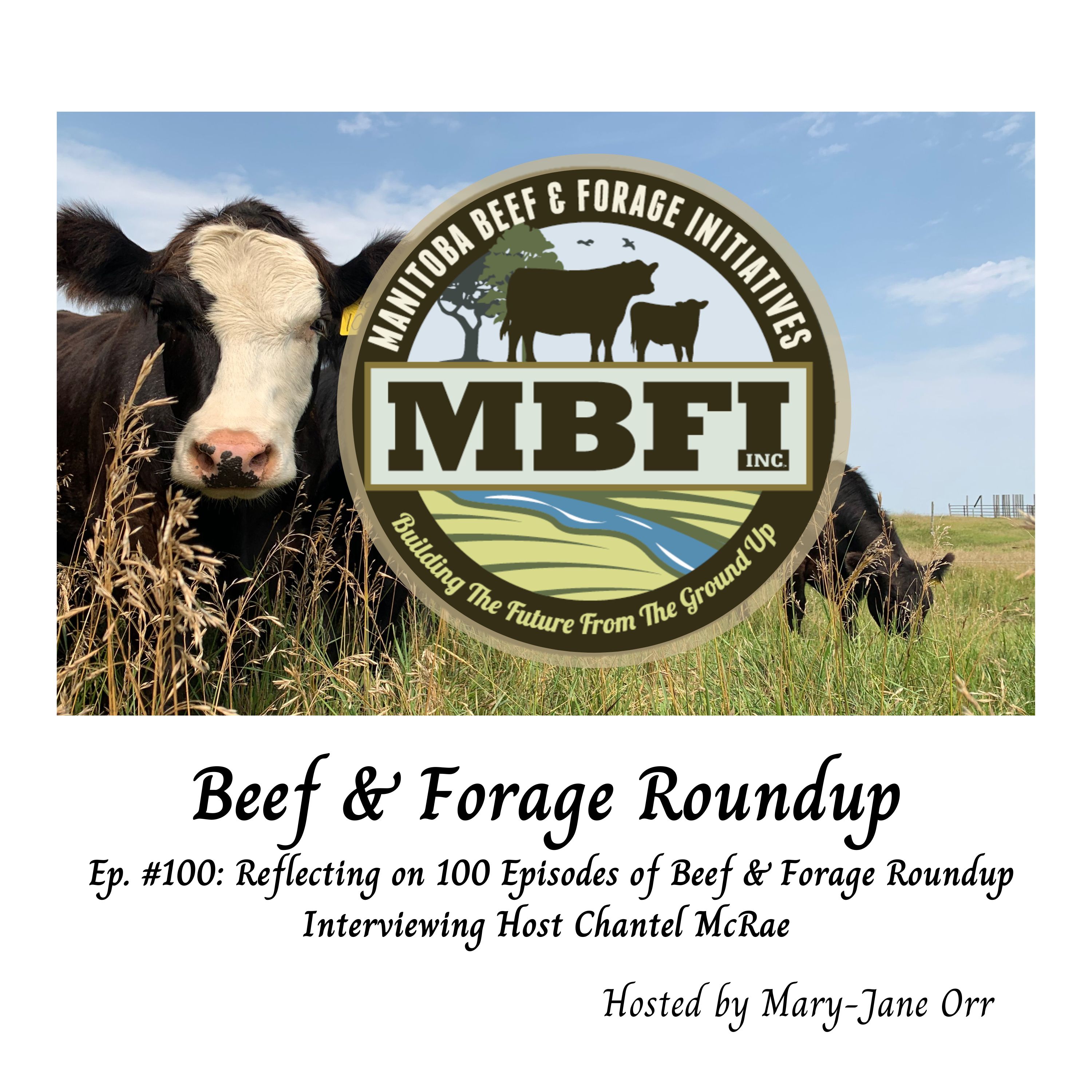 Beef and Forage Roundup