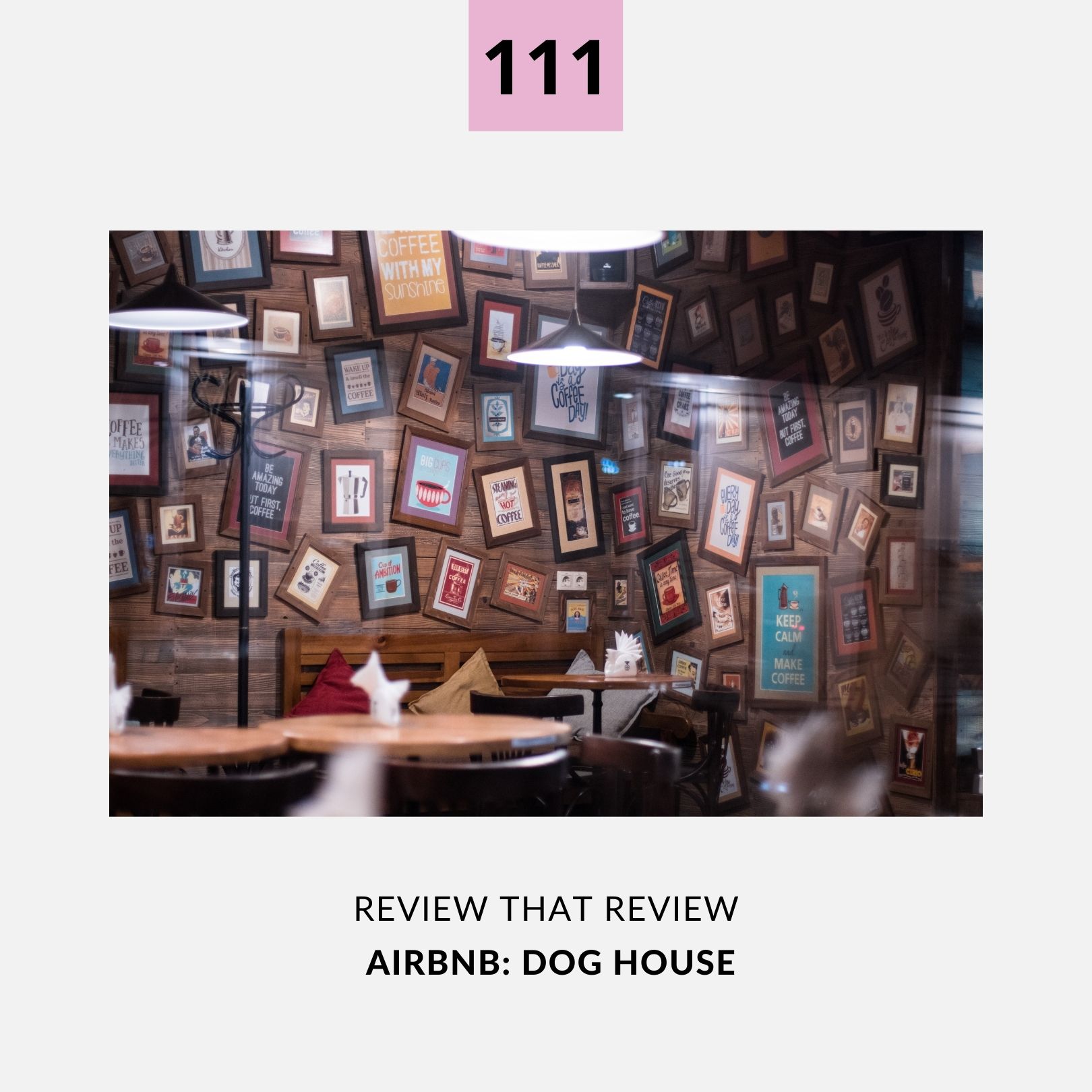 Episode 111: AirBnB Dog House - 1 Star Review