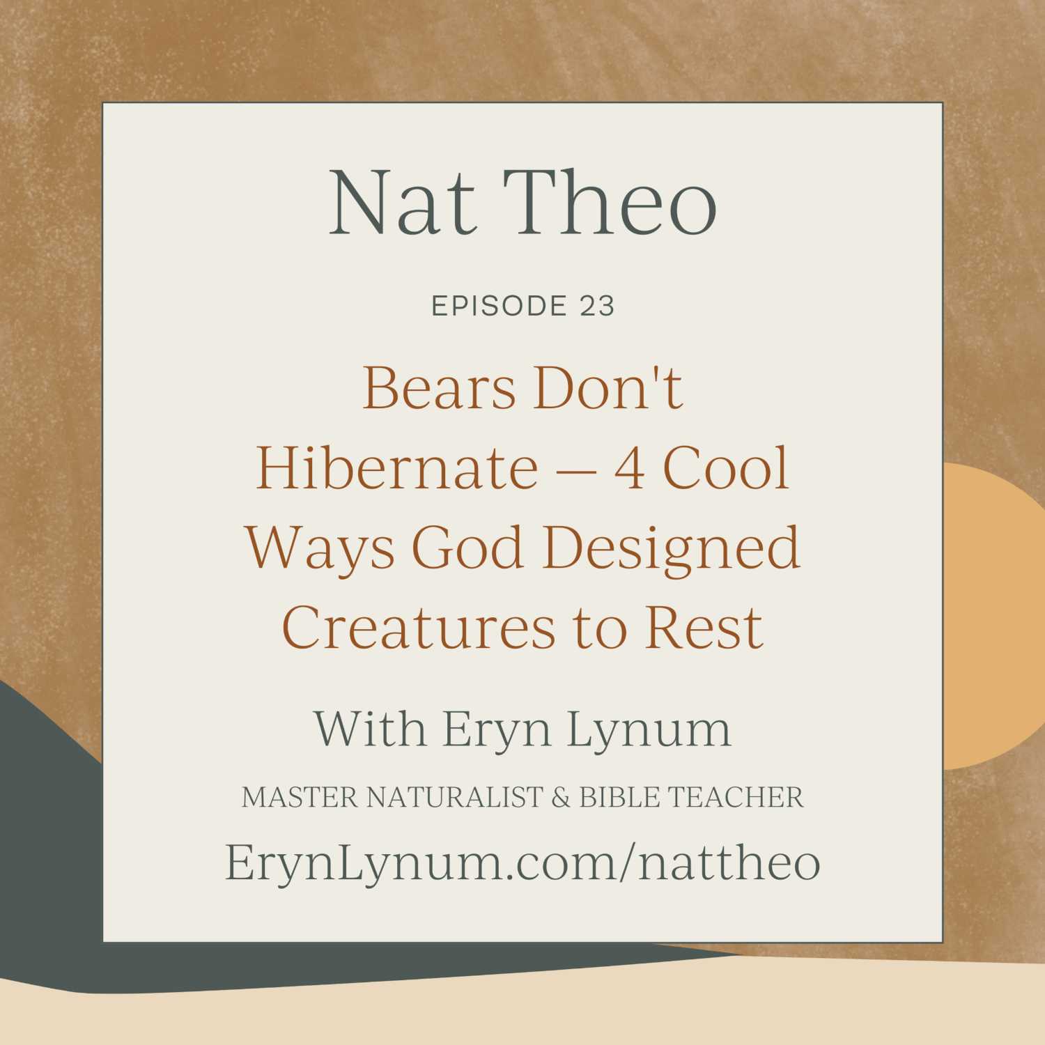 Bears Don't Hibernate — 4 Cool Ways God Designed Creatures to Rest - Episode 23