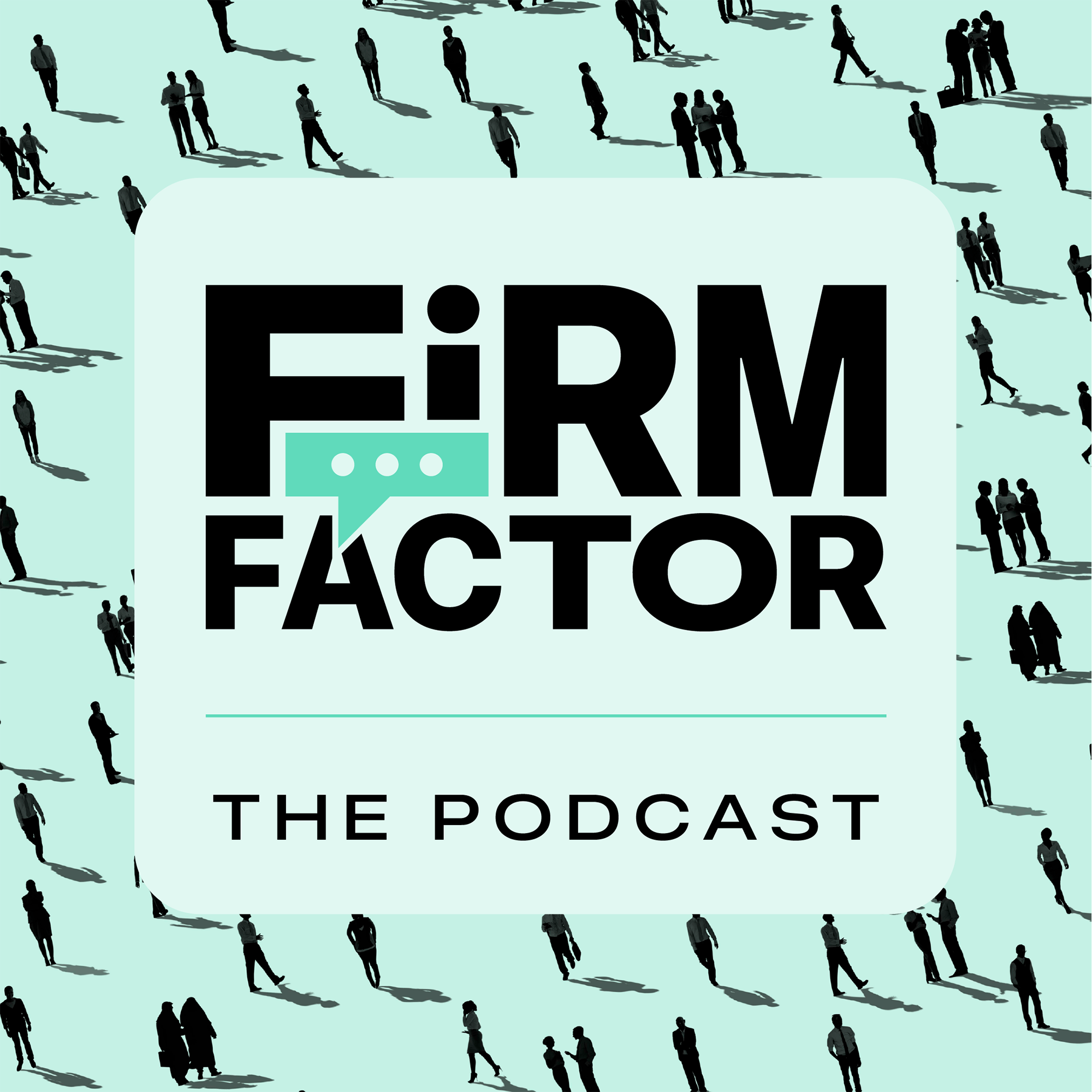 Firm Factor