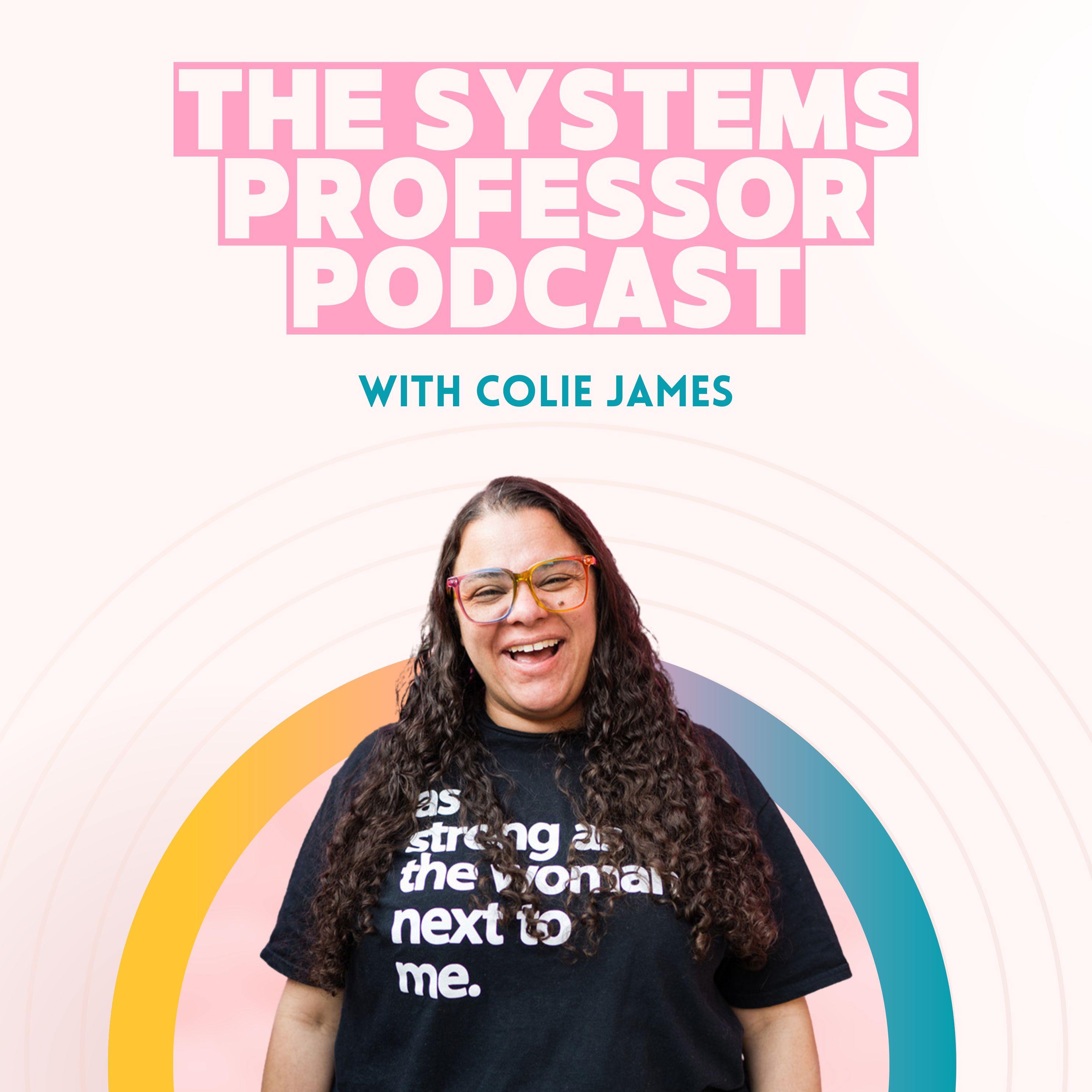 Artwork for The Systems Professor