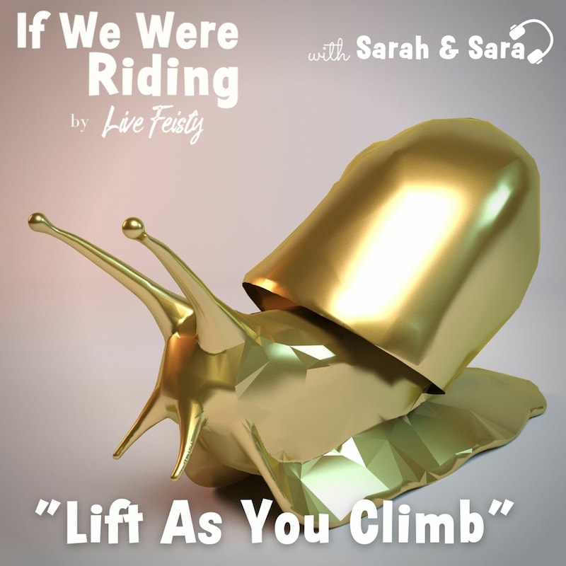 Artwork for podcast If We Were Riding