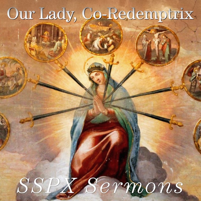 Artwork for podcast SSPX Sermons