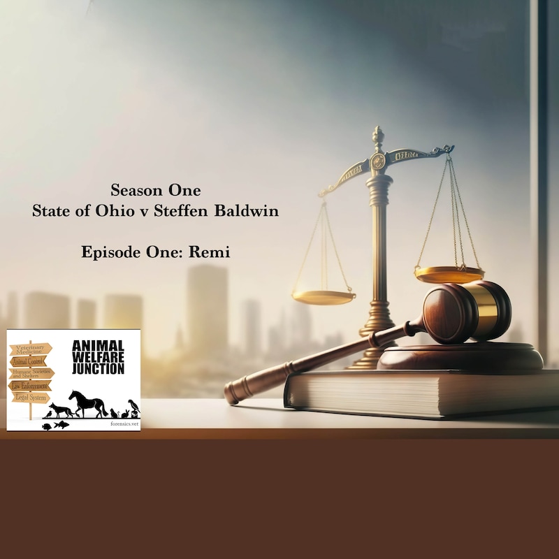 Artwork for podcast The Animal Welfare Junction