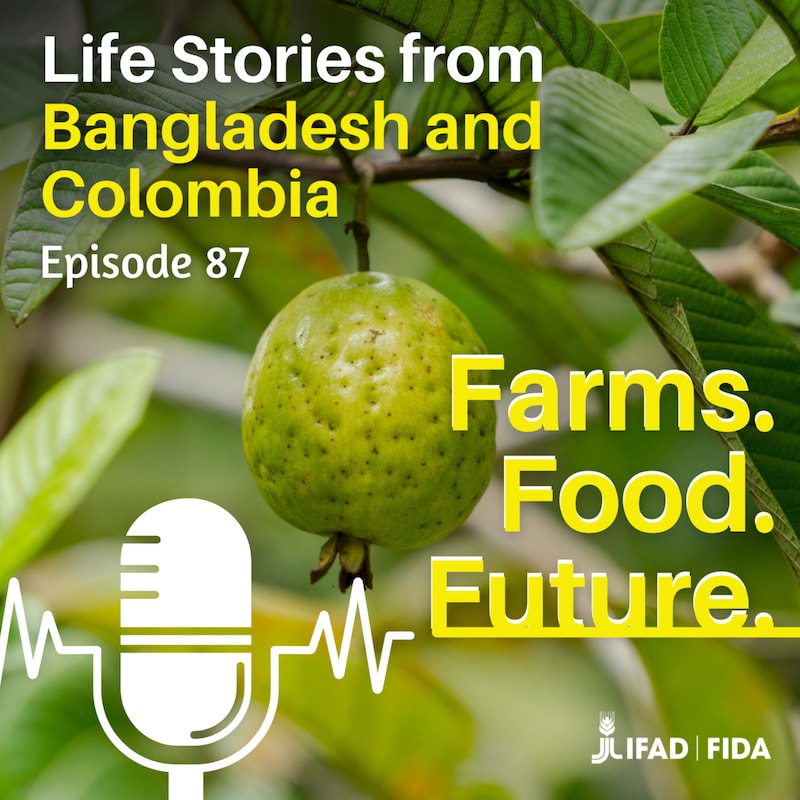Artwork for podcast Farms. Food. Future.
