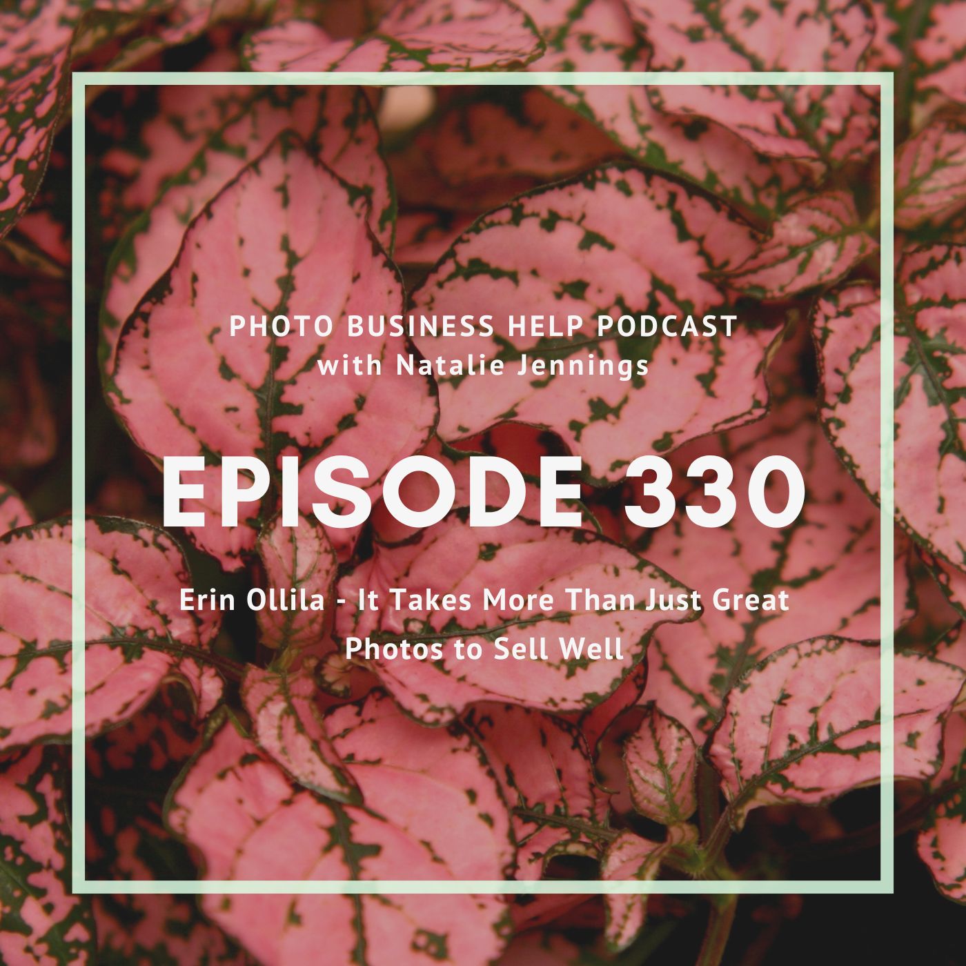 330 Erin Ollila - It Takes More Than Just Great Photos to Sell Well