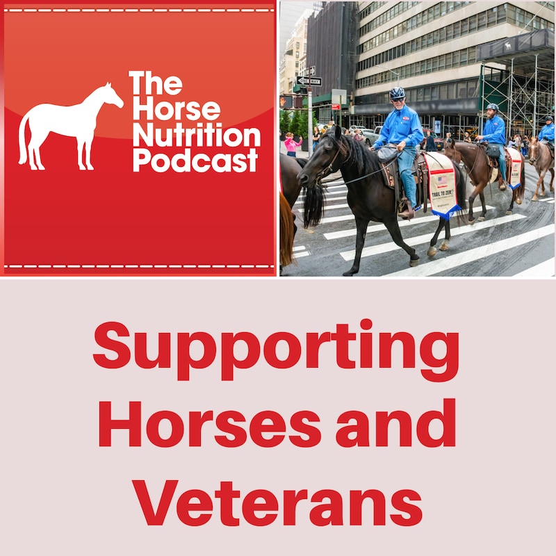 Artwork for podcast The Horse Nutrition Podcast
