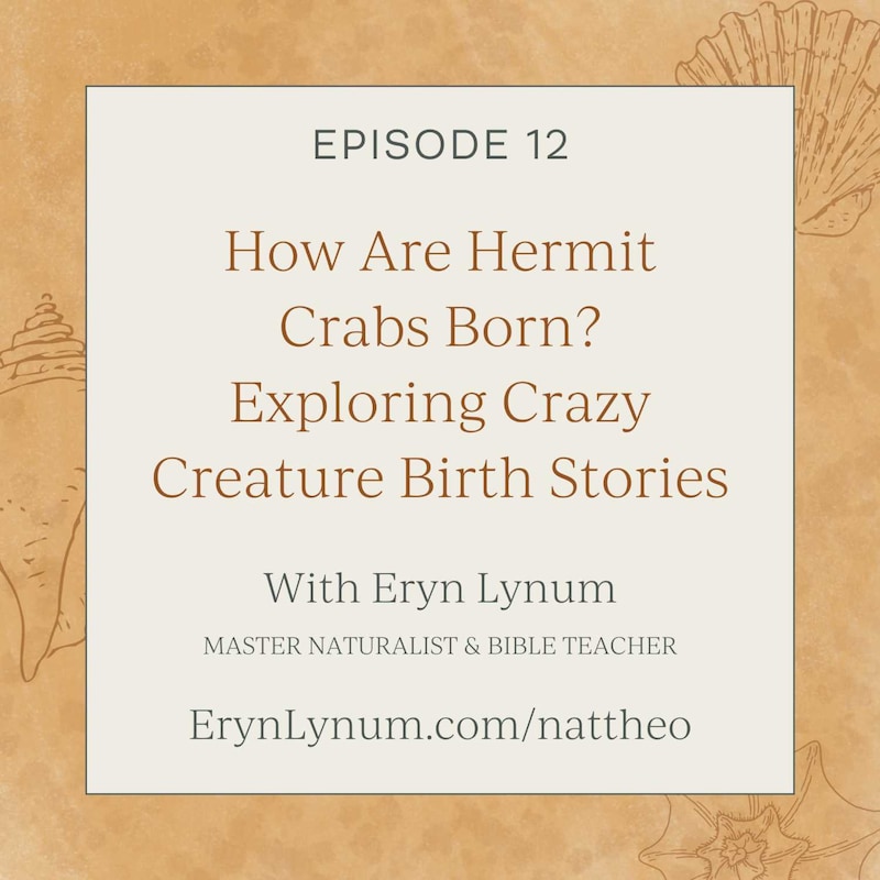 Artwork for podcast Nat Theo Nature Lessons Rooted in the Bible