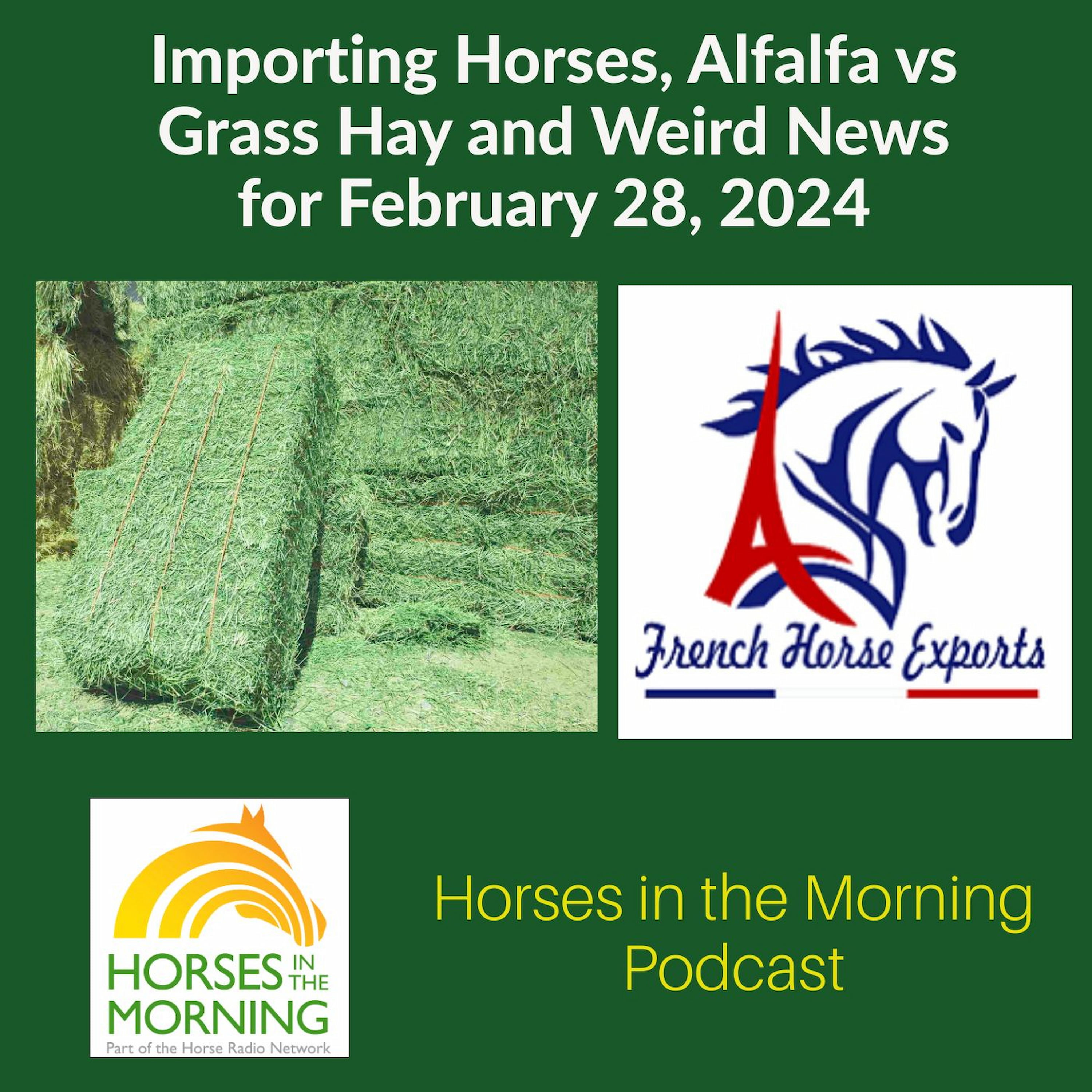 Importing Horses, Alfalfa vs Grass Hay and Weird News for February 28, 2024