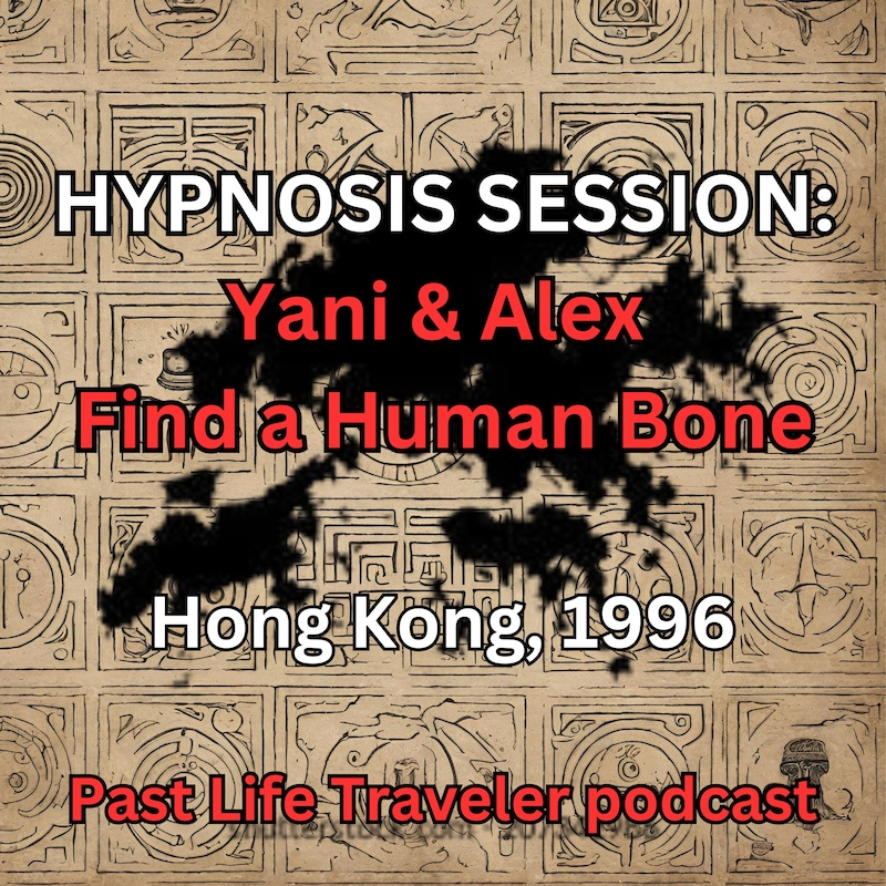 Artwork for podcast Past Life Traveler