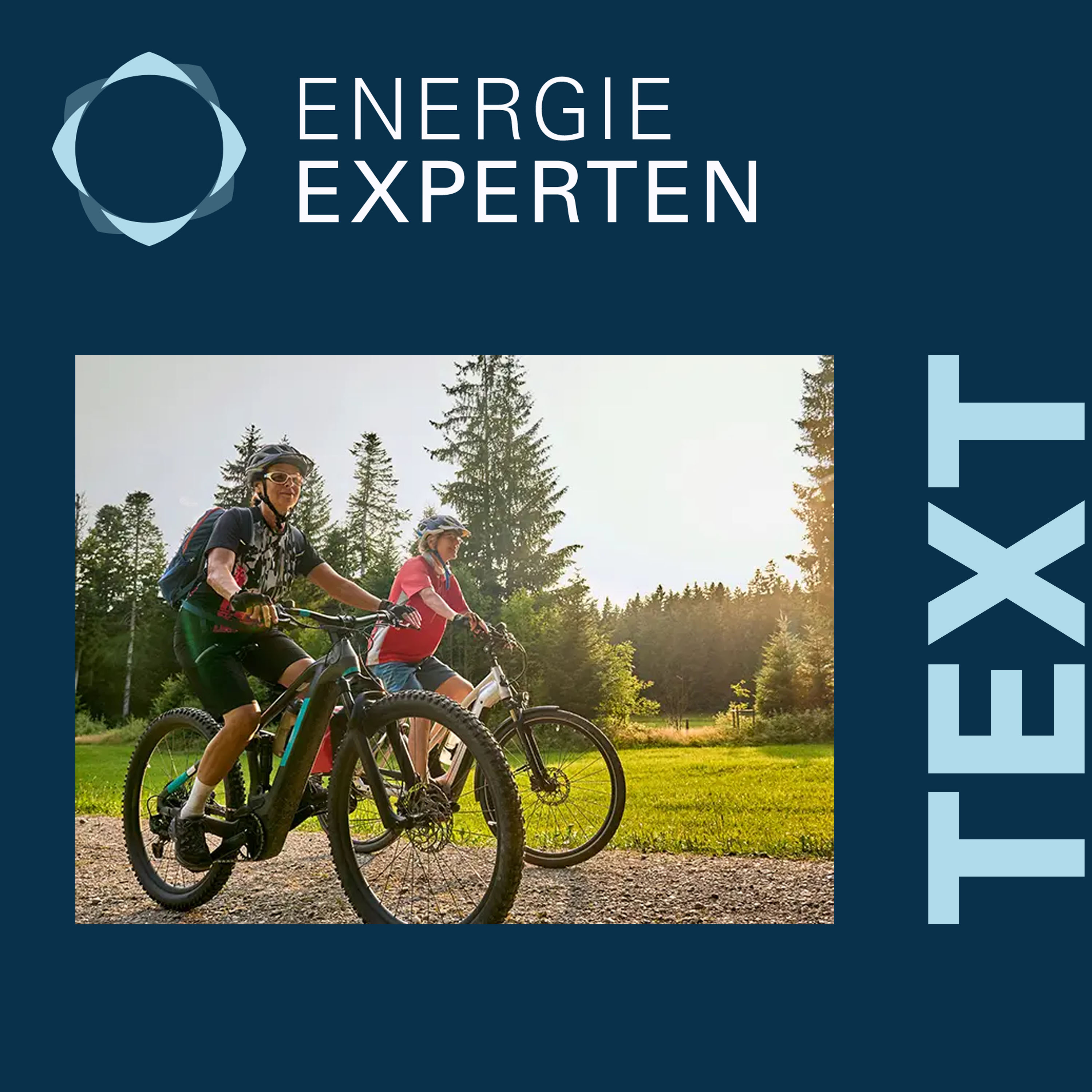Energie-Experten