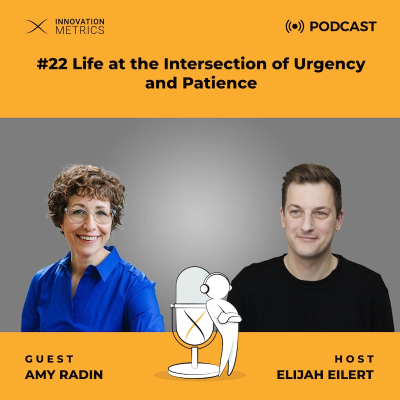 Artwork for podcast Innovation Metrics Podcast