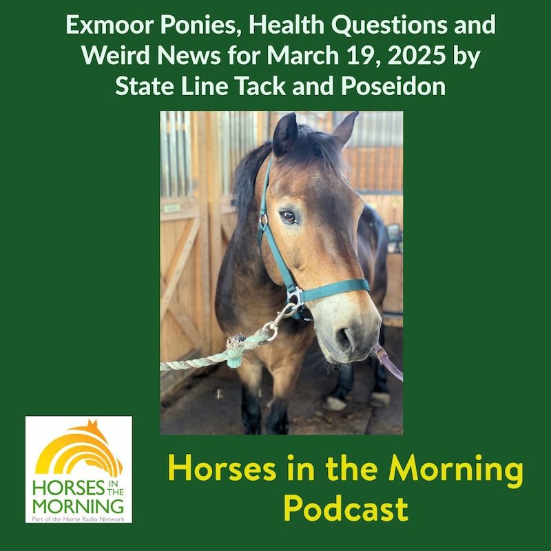 Artwork for podcast Horses in the Morning