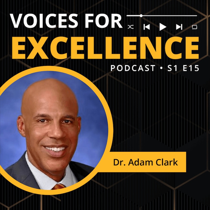 Artwork for podcast Voices for Excellence