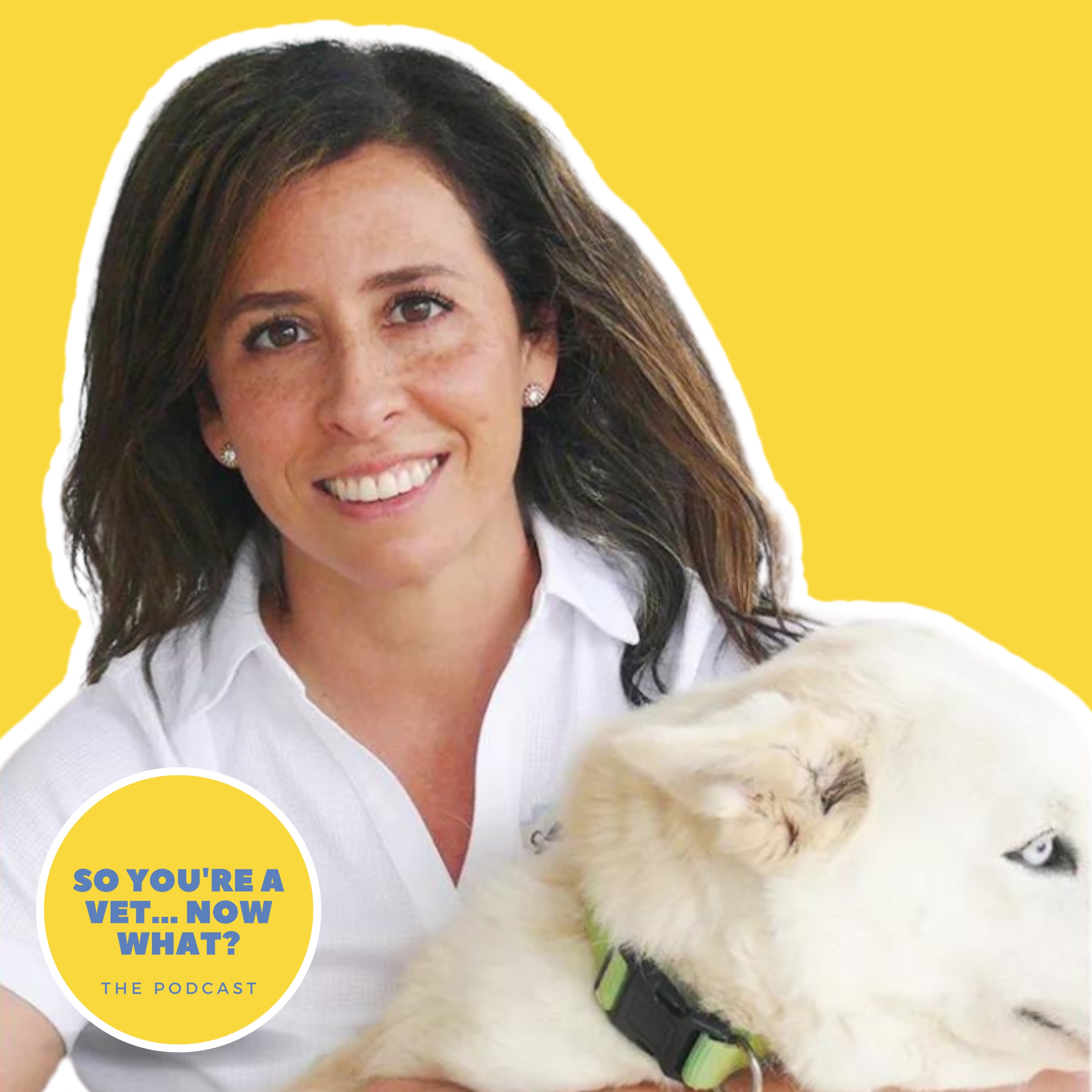 The \'So You\'re A Vet... Now What?\' Podcast
