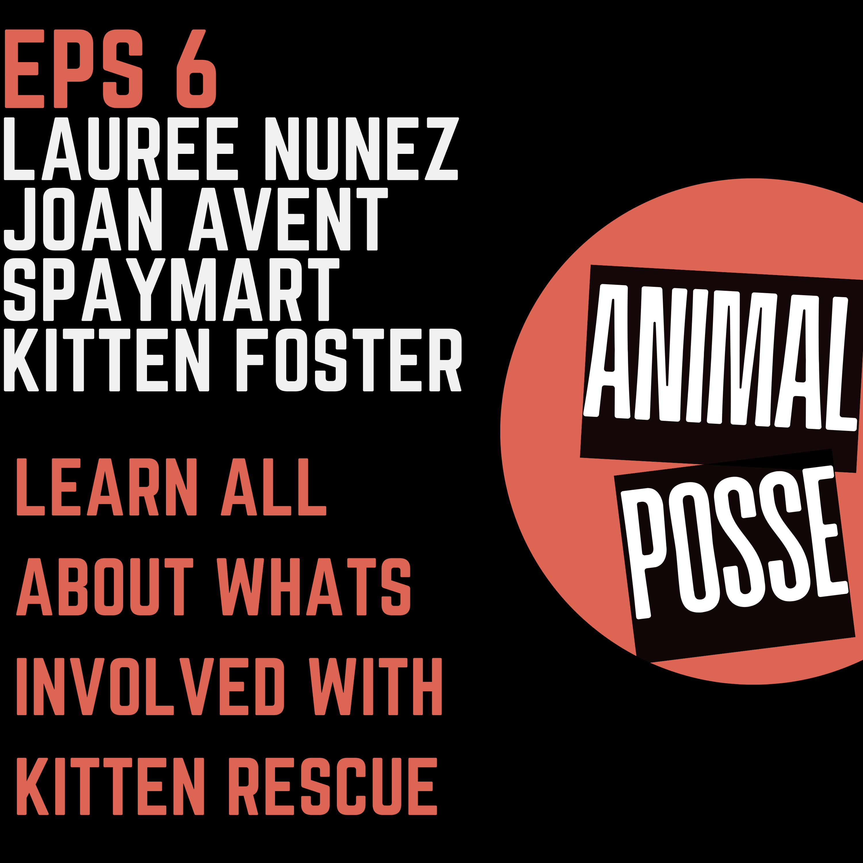 Episode 6 - Saving Kittens, Changing Lives with Spaymart Kitten Foster