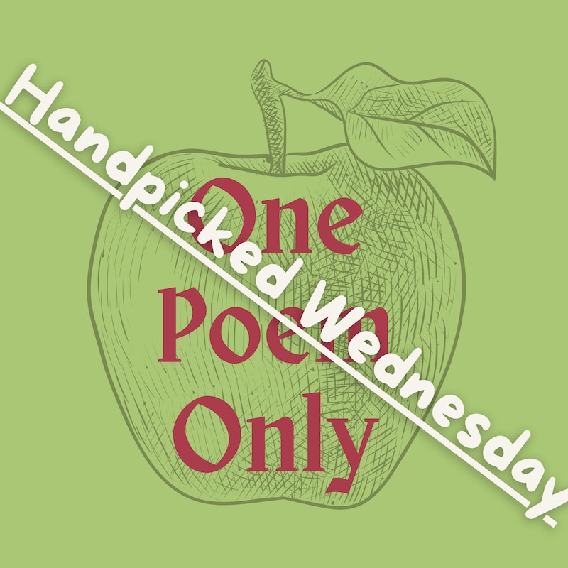Artwork for podcast One Poem Only