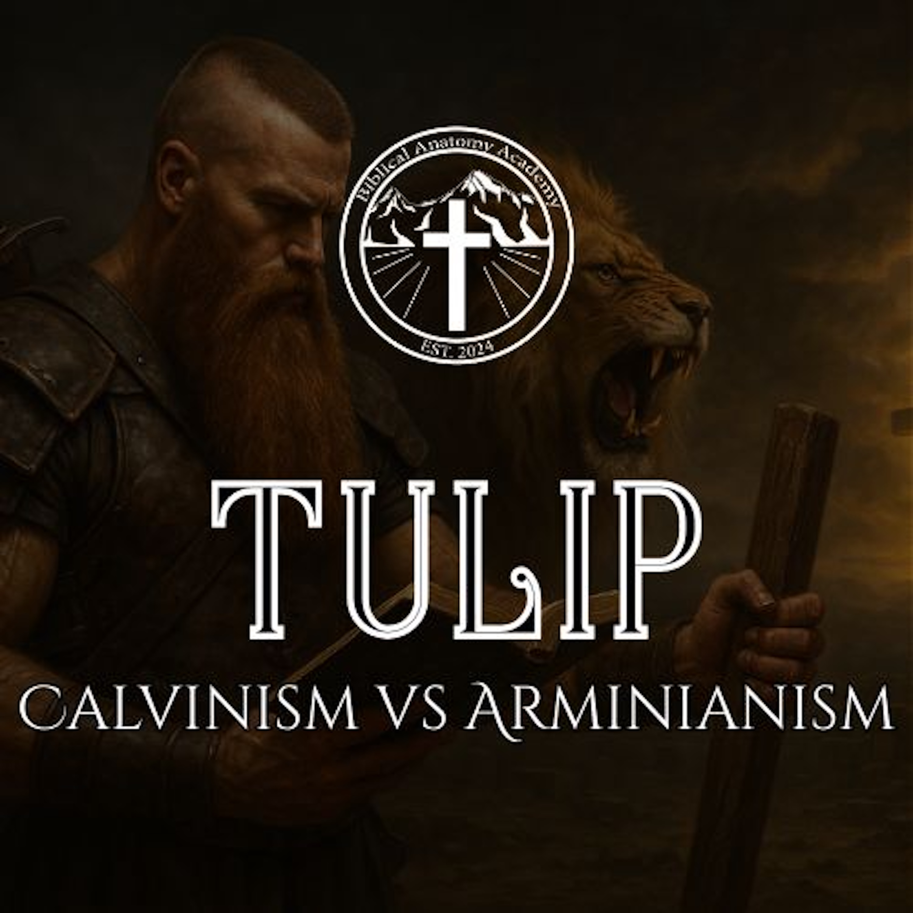 TULIP: Calvinism vs Arminianism