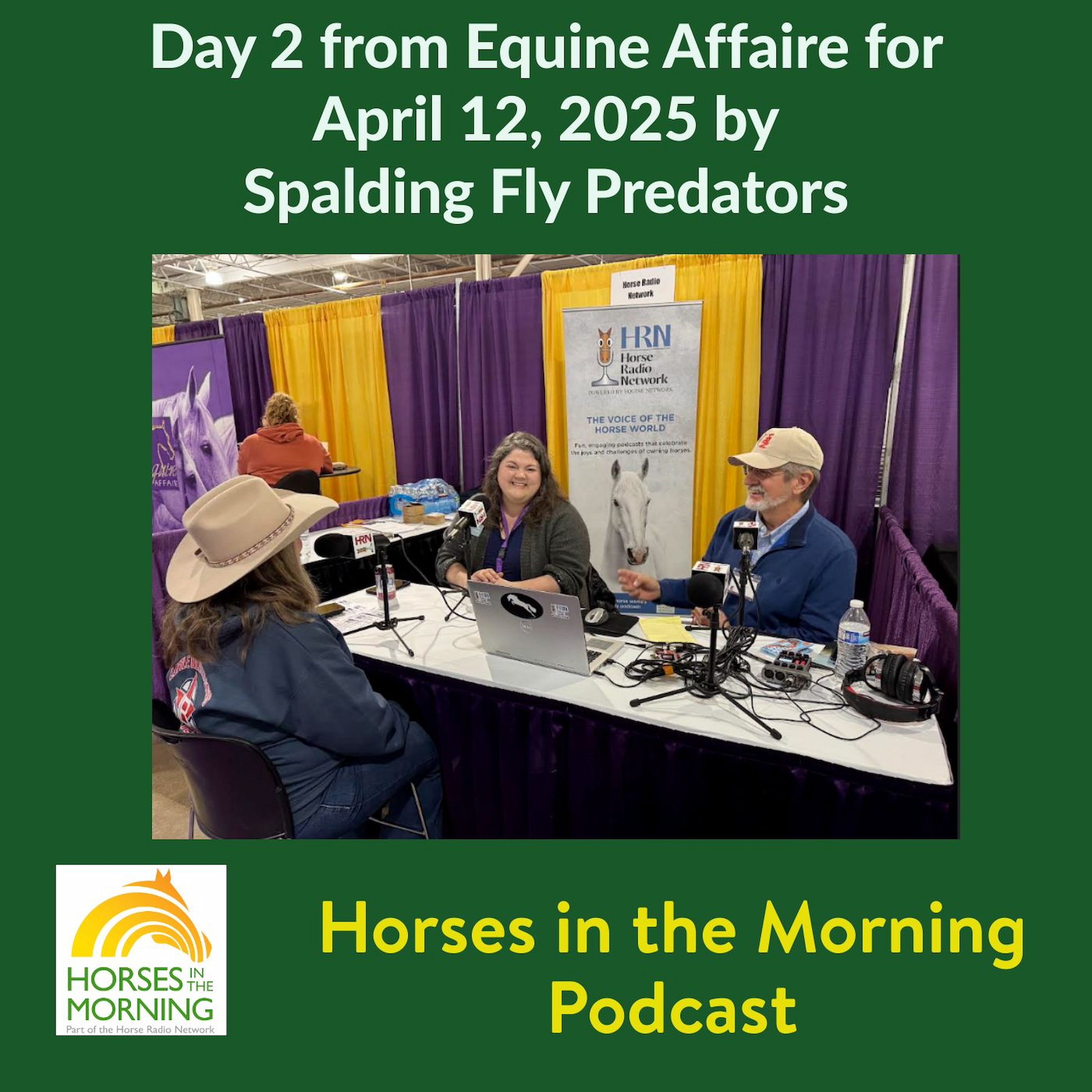 HRN Auditor Podcast