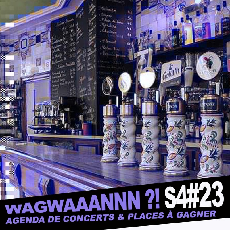 Artwork for podcast WAGWAAANNN ?!