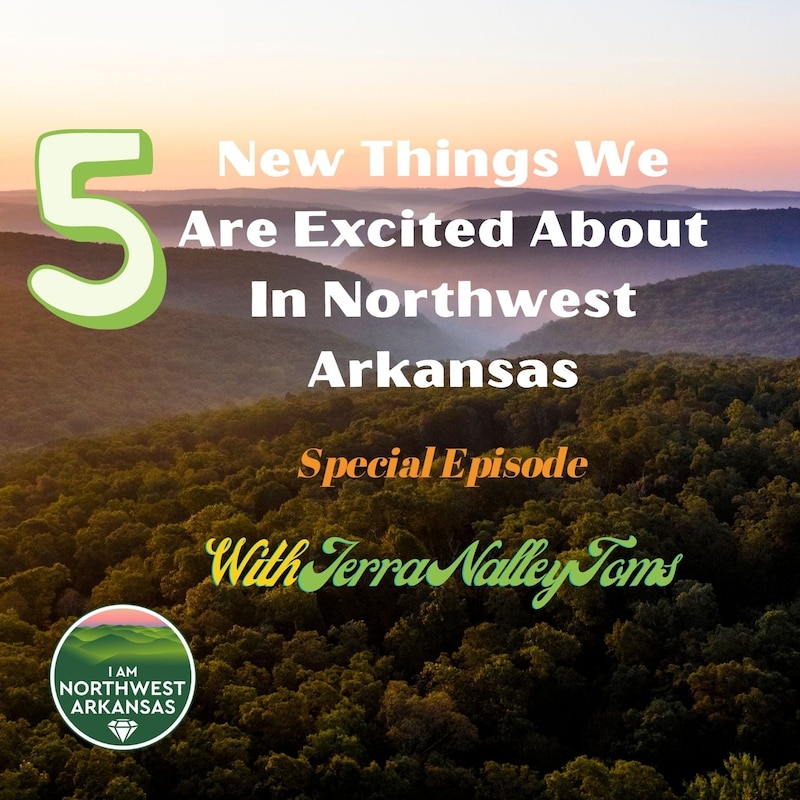 Artwork for podcast I am Northwest Arkansas