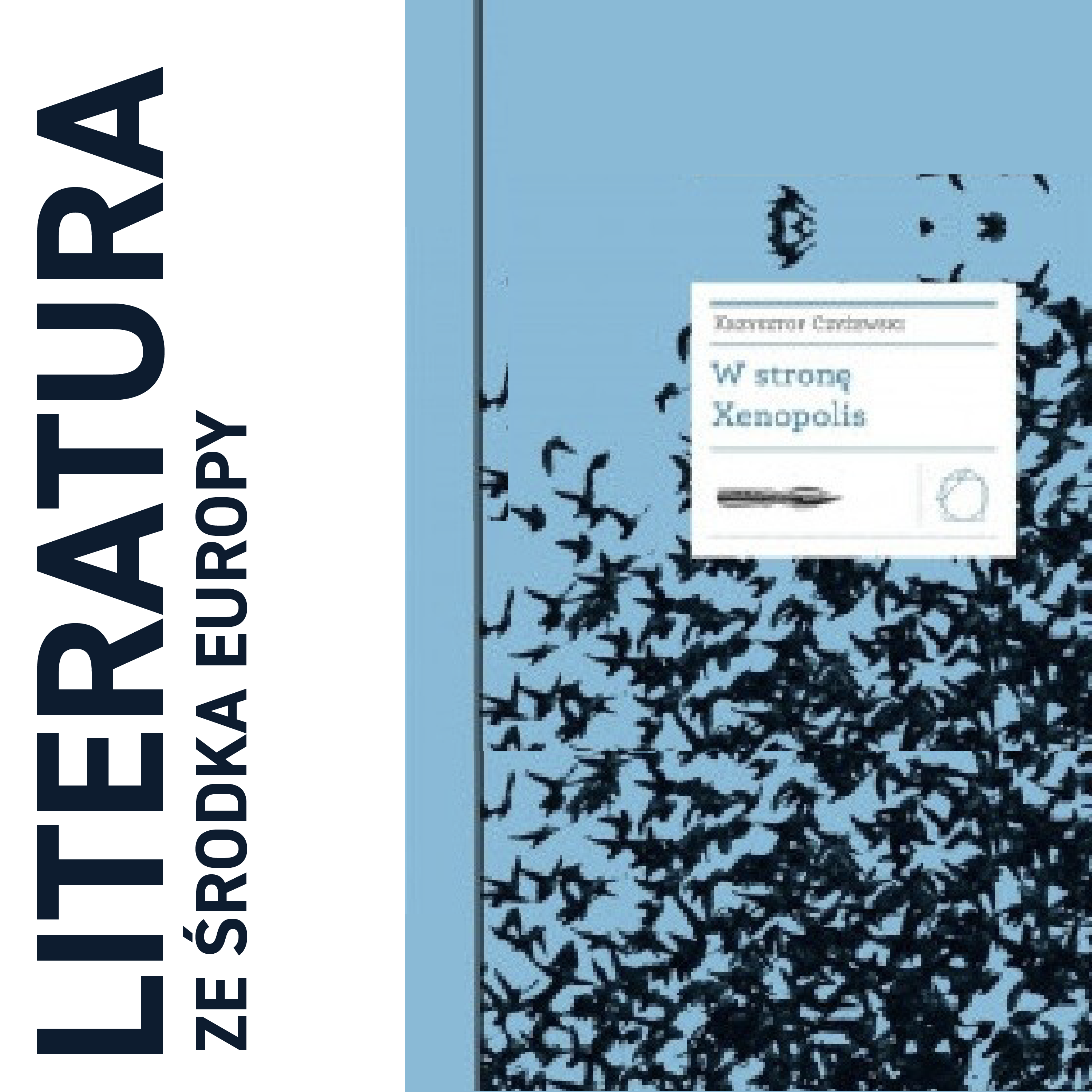 literatura ze środka Europy