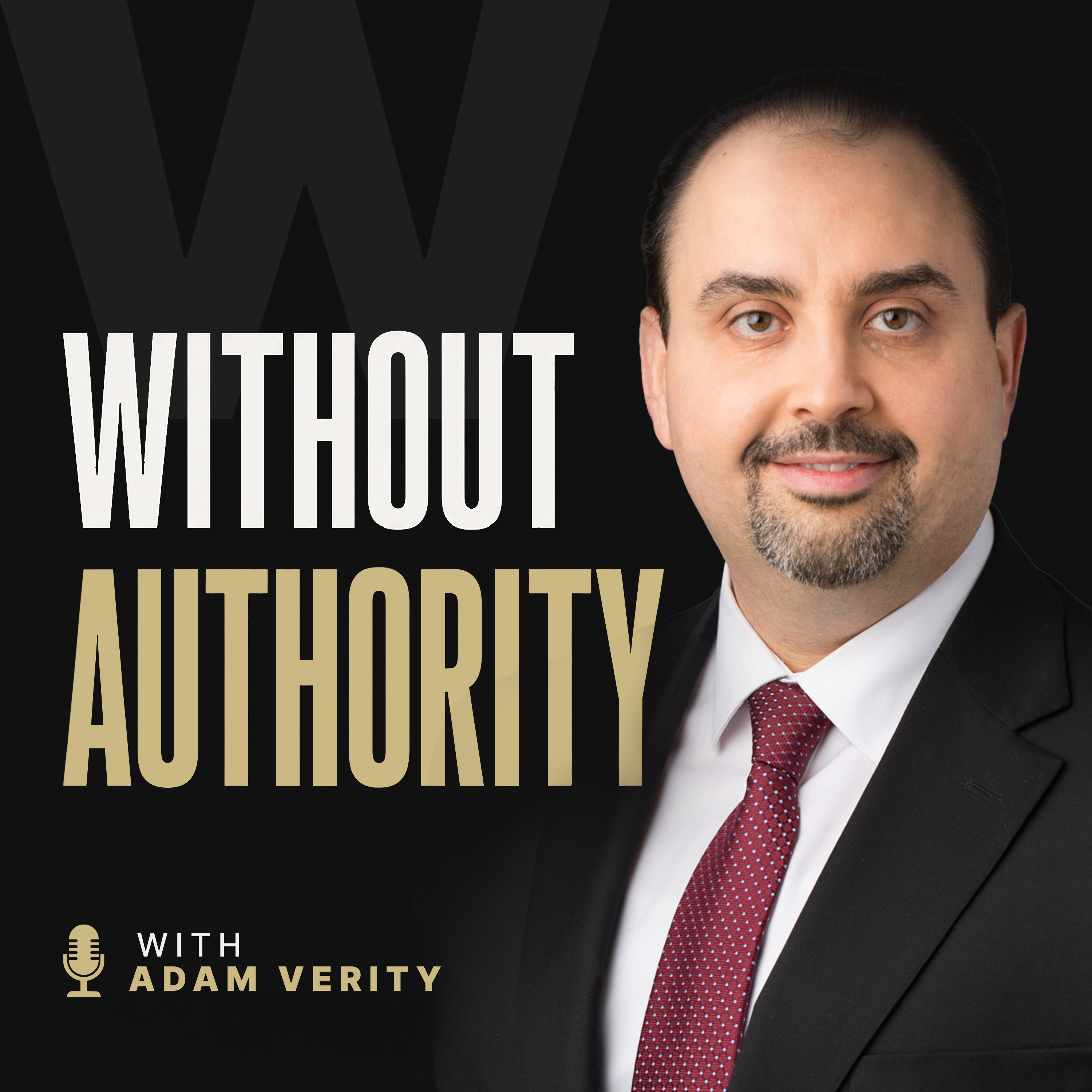 Show artwork for Without Authority