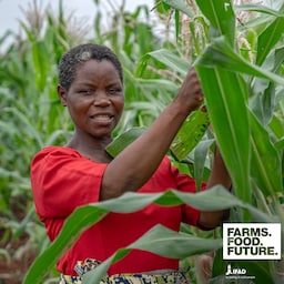 Artwork for Kitty Siliya: A call to action for collective growth