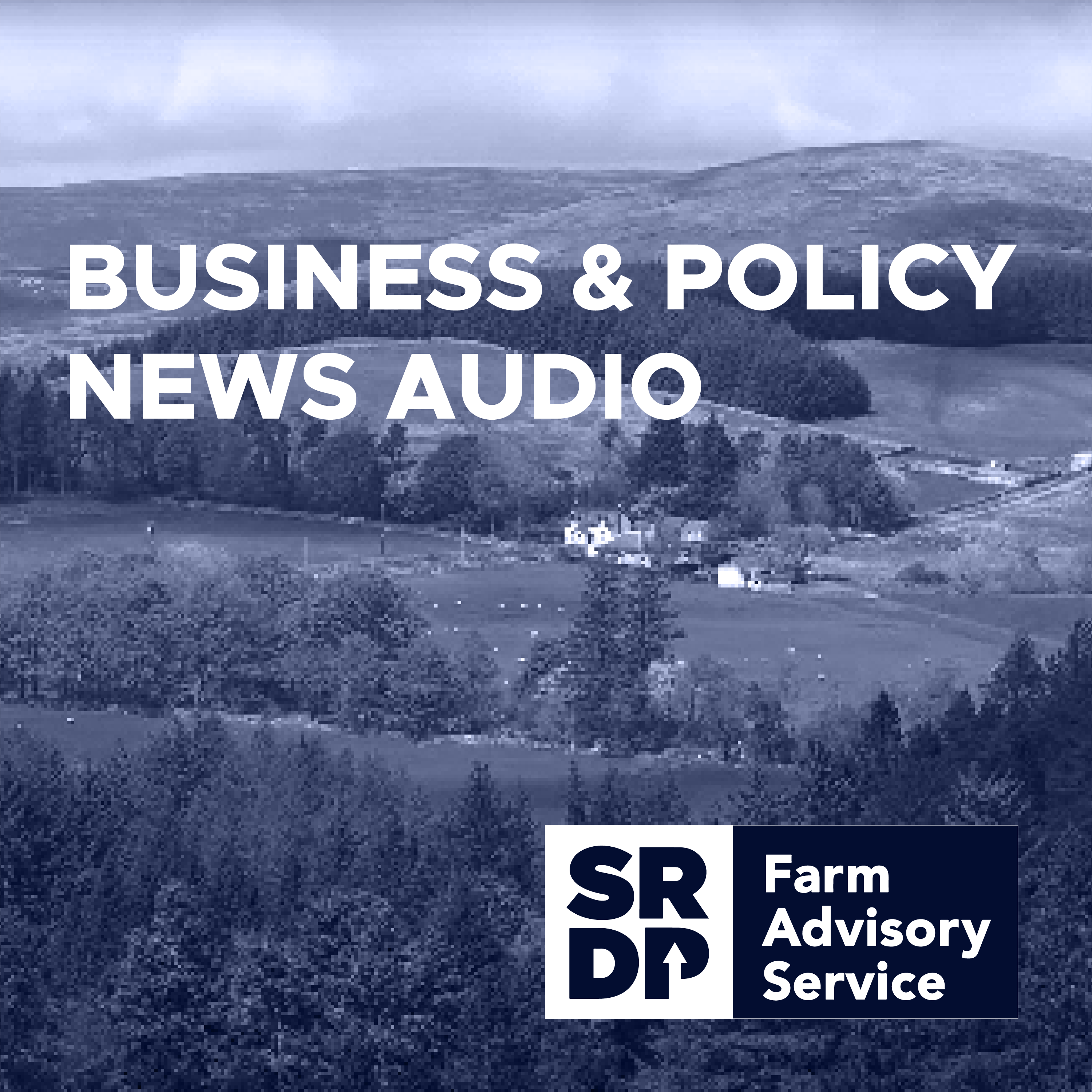 Business and Policy News Audio October 2025: Policy, cereal, beef, sheep and milk updates and a spotlight on farm-scale renewables.