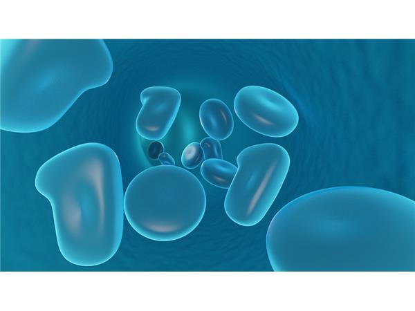 Using Cellular Memory to Find the Cause of Health Issues episode artwork