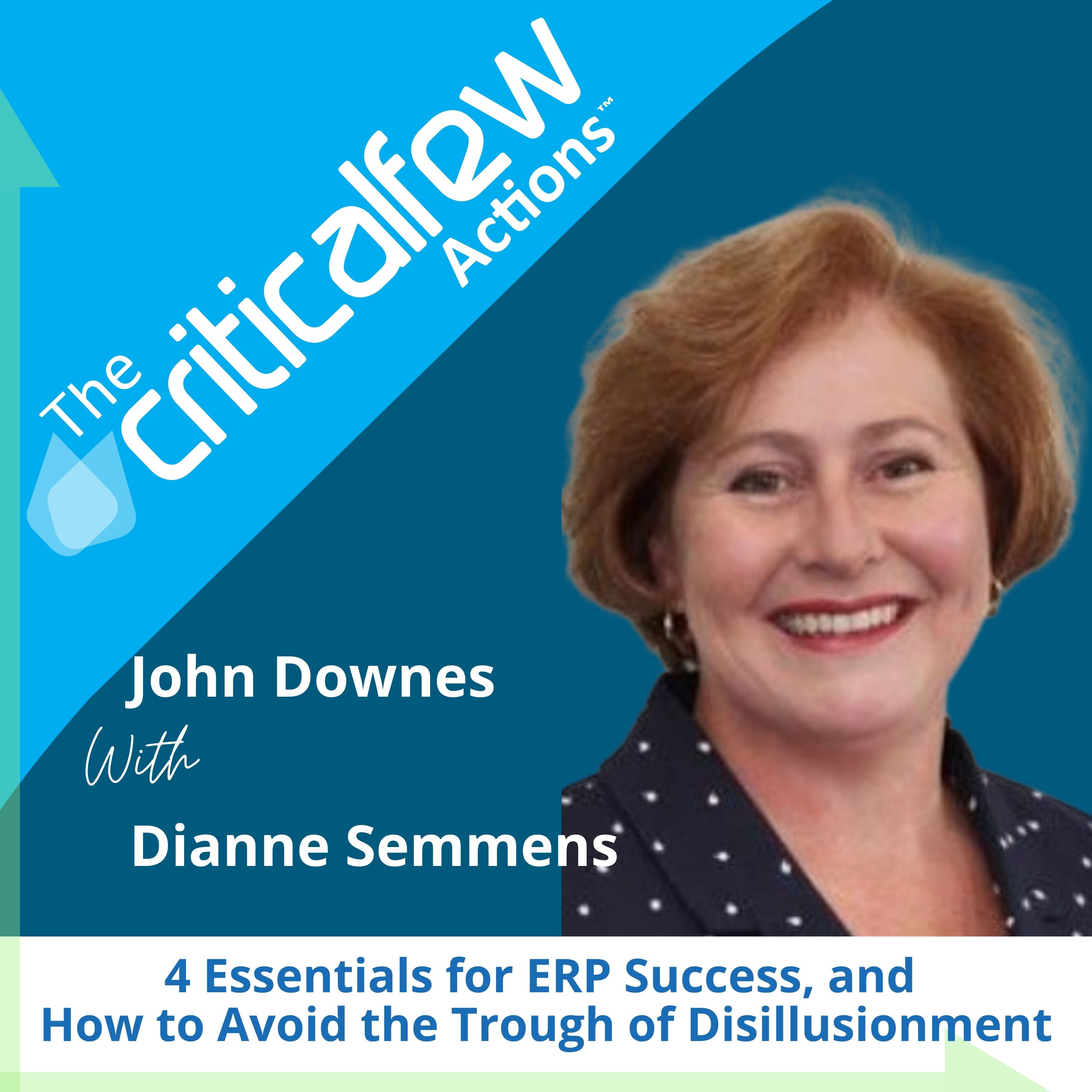 Dianne Semmens: 4 Essentials for ERP Success – and How to Avoid the Trough of Disillusionment