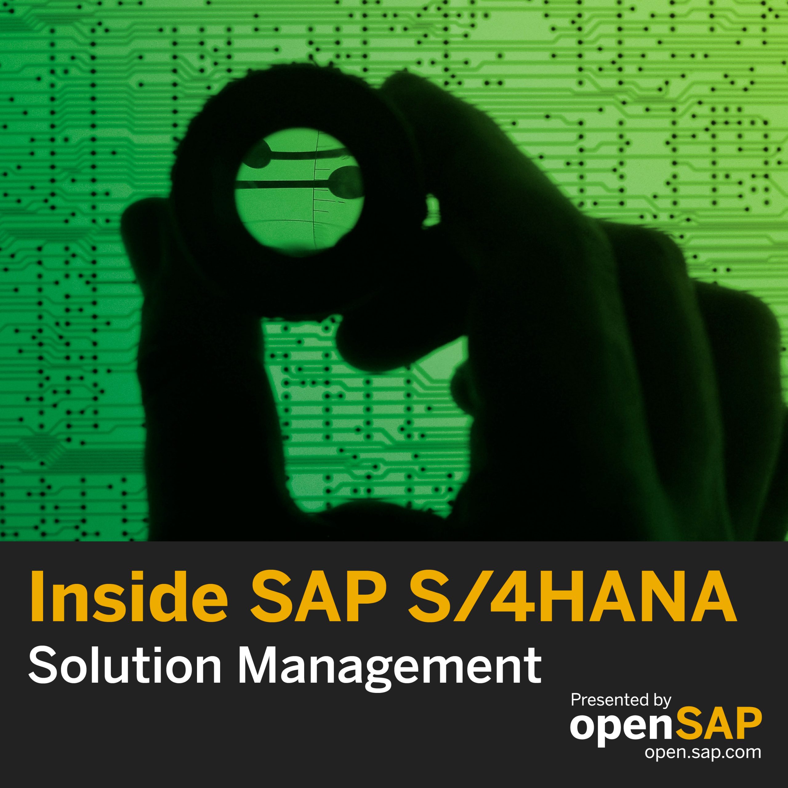 Inside SAP S/4HANA by Solution Management EP04: Embedded Steampunk (feat. Beyond Technologies) episode artwork