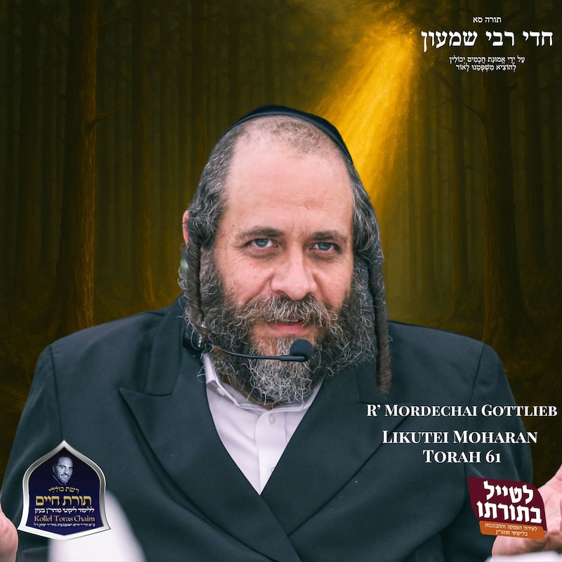 Artwork for podcast Kollel Toras Chaim All Shiurim