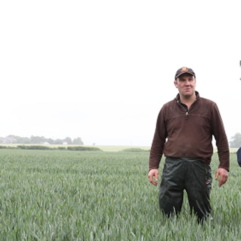 Artwork for podcast AHDB Food & Farming