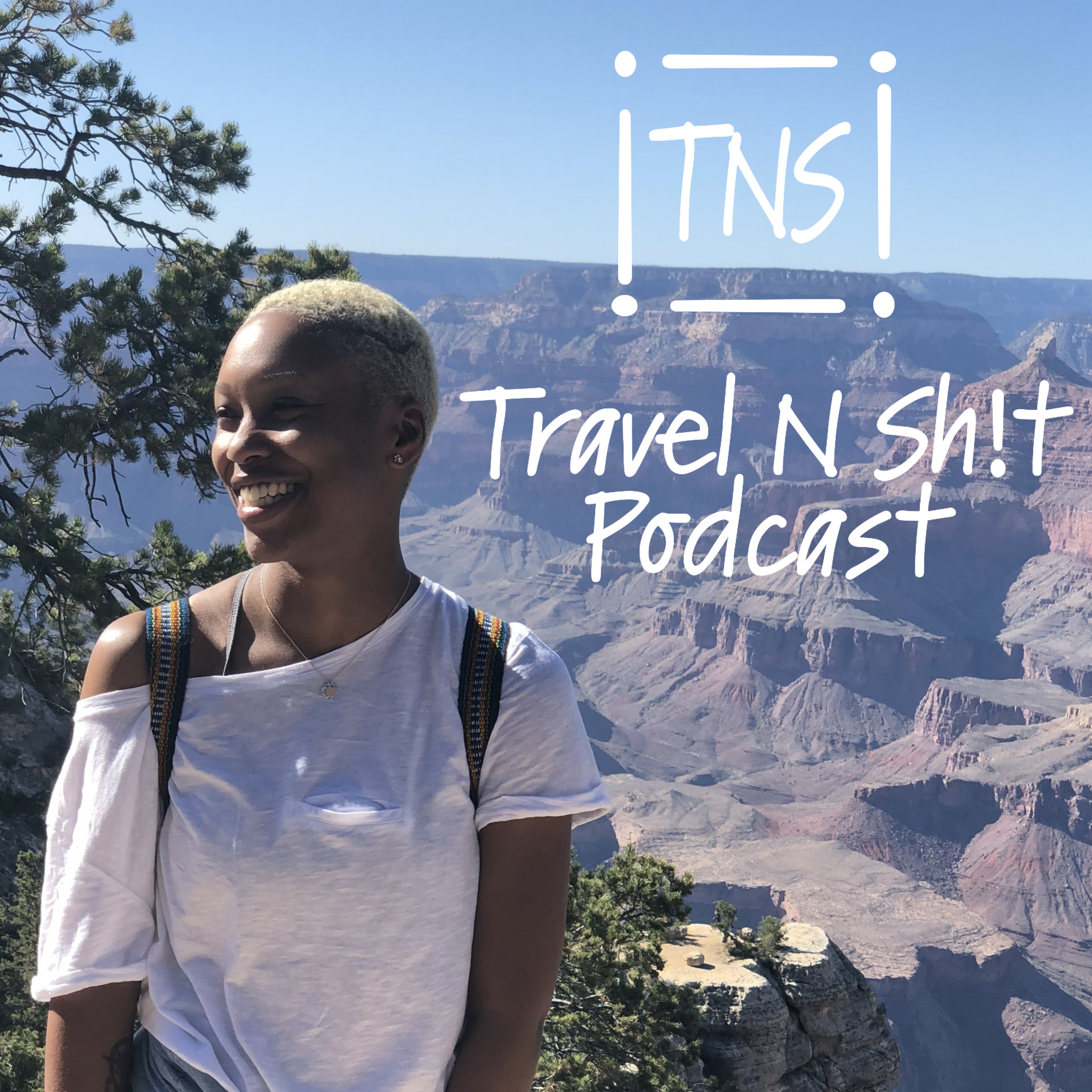 Artwork for podcast Travel N Sh!t Podcast