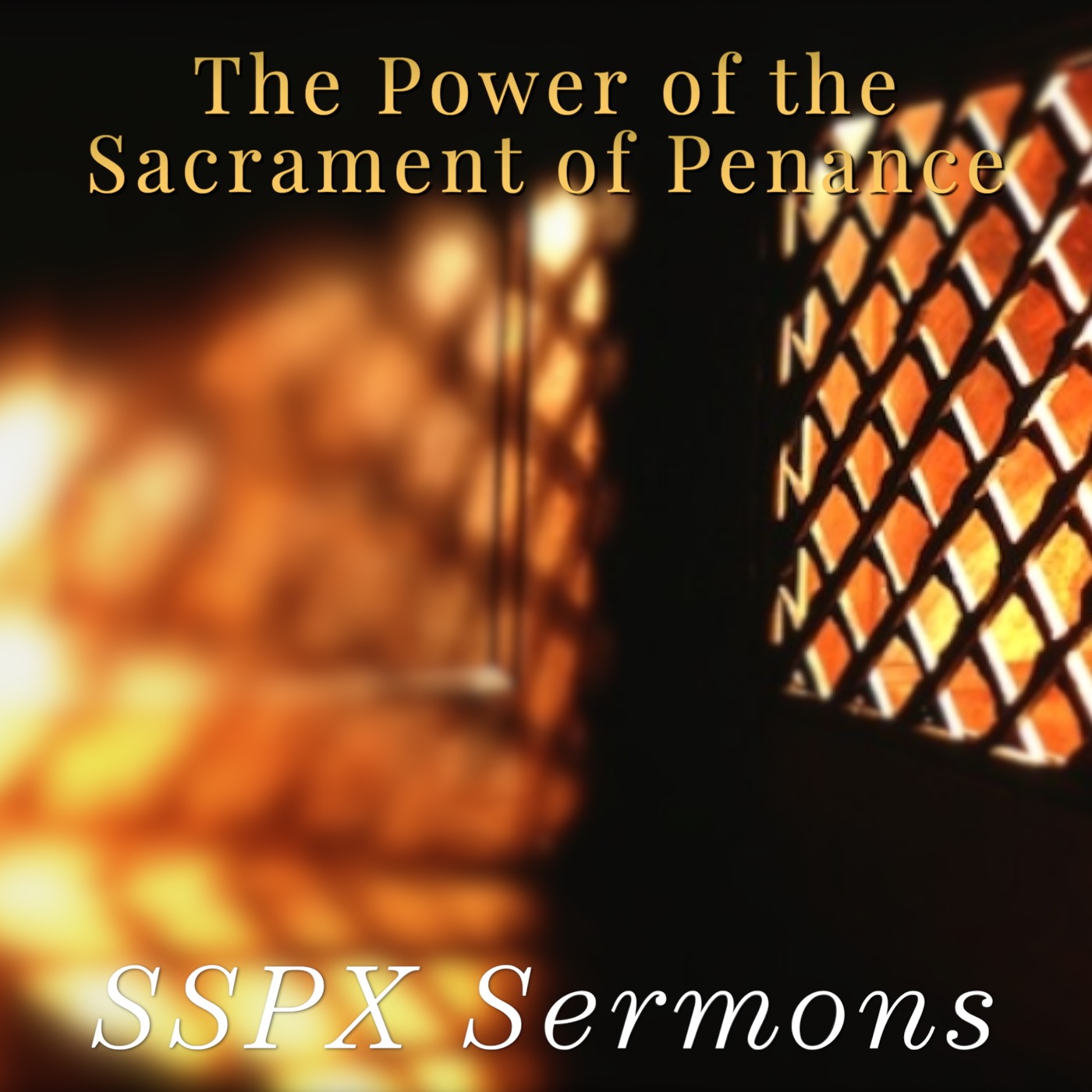 The Power of the Sacrament of Penance – SSPX Sermons