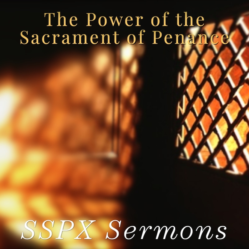 Artwork for podcast SSPX Sermons
