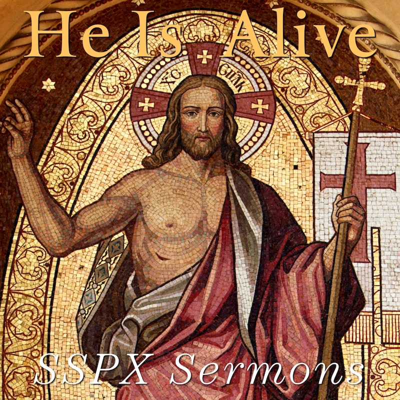 Artwork for podcast SSPX Sermons