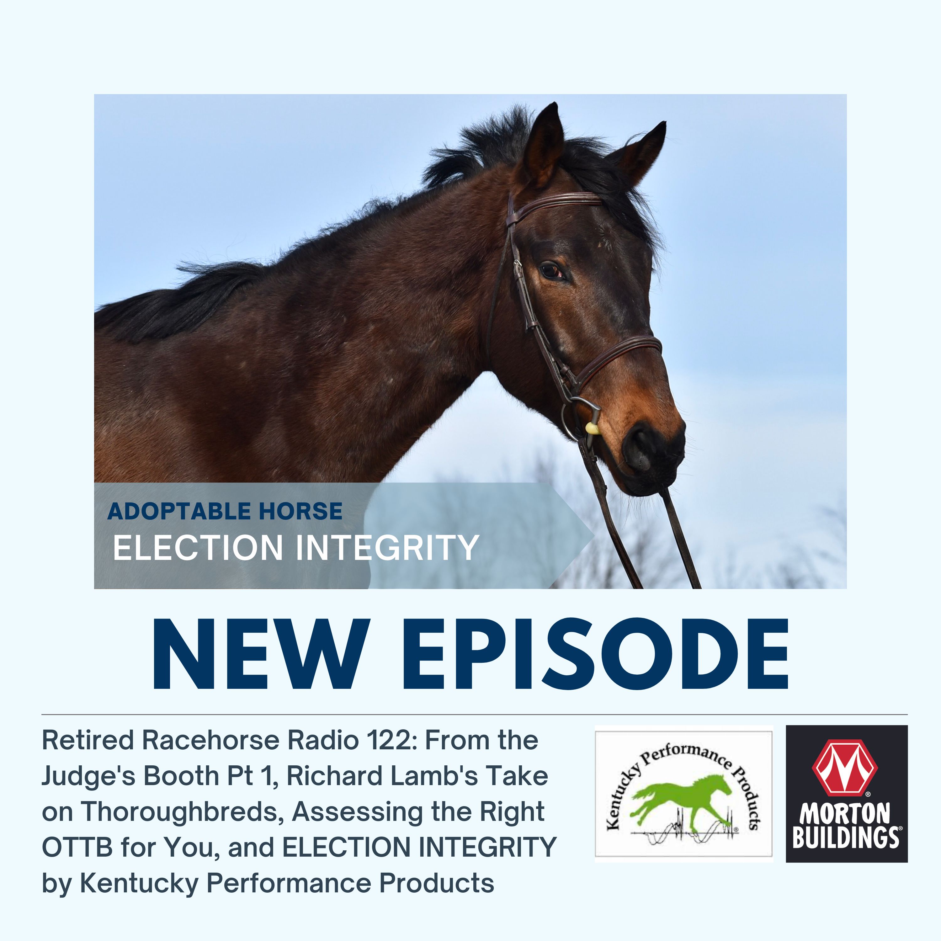 From the Judge’s Booth Pt 1, Richard Lamb’s Take on Thoroughbreds, Assessing the Right OTTB for You, and ELECTION INTEGRITY by Kentucky Performance Products