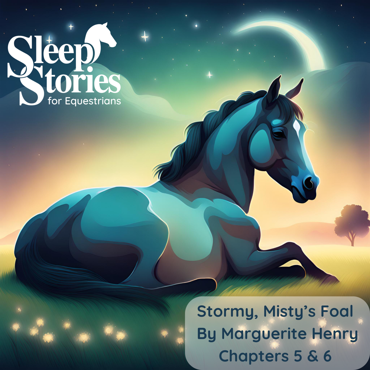 Sleep Stories for Equestrians