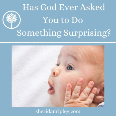 #52 When God Asks You to do Something Surprising, Do You Listen? episode artwork