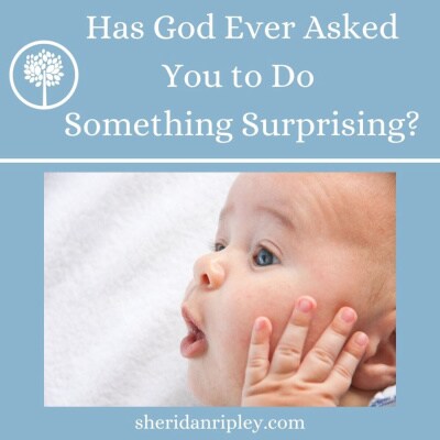 Artwork for podcast Finding Joy in the Journey